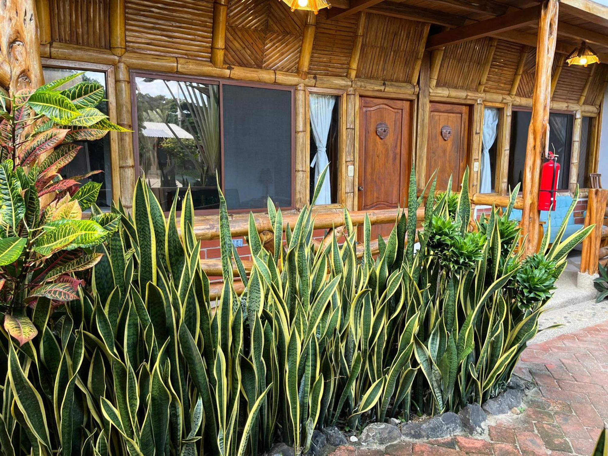 Victor Hugo Hotel Puerto López エクステリア 写真