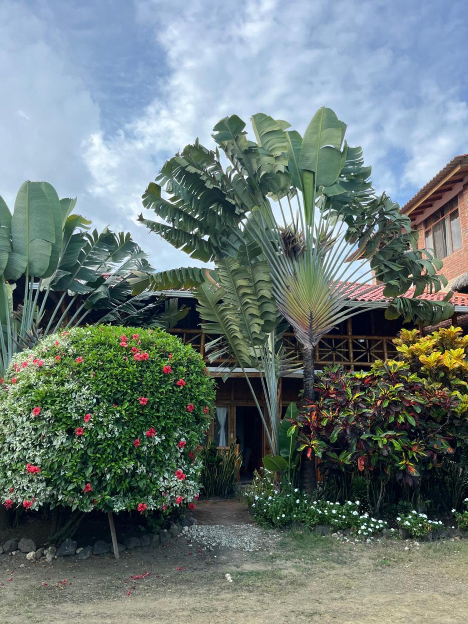 Victor Hugo Hotel Puerto López エクステリア 写真